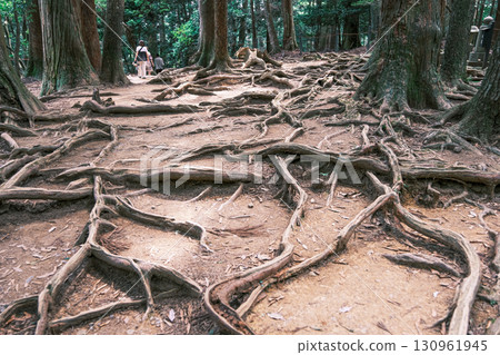 [#京都]鞍馬寺的根路 130961945