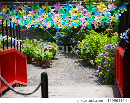 Many windmills 130963154