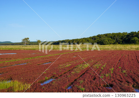 Abashiri Quasi-National Park 130963225