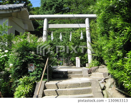 江之島電鐵的守護神 130963313