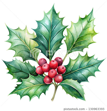 Holly Minimal Watercolor PNG White background 130963393