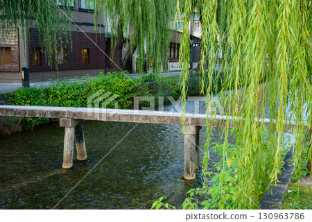 京都：柳樹和行者橋 130963786