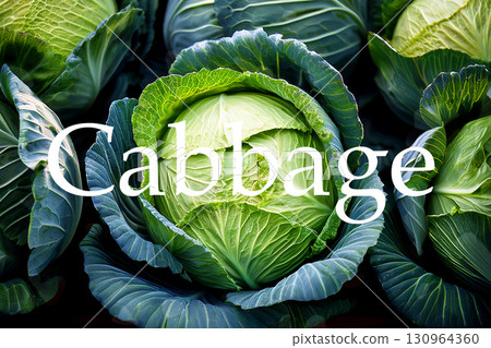 捲心菜排成一排，英語拼寫 130964360
