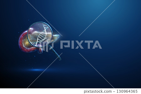 3d pancreas with magnifying glass and DNA inside. Genetic research, pancreatic disease detection, DNA sequencing, healthcare innovation concept. 130964365