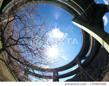 環橋、櫻花與蔚藍的天空 130964906