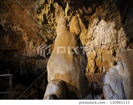 Totoro stalactite in Ishigaki Island Limestone Cave Totoro stalactite in Ishigaki Island Limestone Cave 130965115