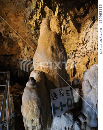 Totoro stalactite in Ishigaki Island Limestone Cave Totoro stalactite in Ishigaki Island Limestone Cave 130965116