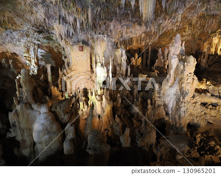 Ishigaki-jima Island cave stone 130965201