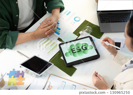 ESG Analysis and Strategy Development in Professional Setting 130965250