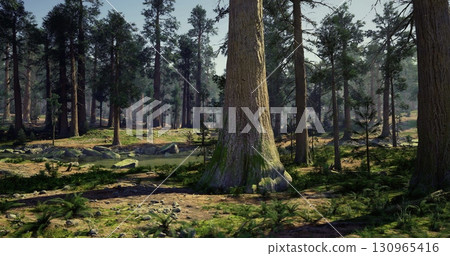 Lush greenery fills a peaceful forest with towering trees. Sunlight breaks through the canopy, casting soft shadows on the forest floor. A tranquil stream flows gently nearby. 130965416