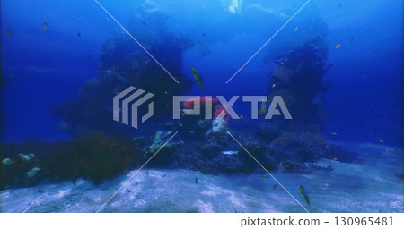 Vibrant coral reefs and diverse marine species thrive beneath the surface, creating a stunning underwater world filled with colorful fish and plant life. Sunlight filters through the water. Vibrant coral reefs and diverse marine species thrive beneath the surface, creating a stunning underwater world filled with colorful fish and plant life. Sunlight filters through the water. 130965481