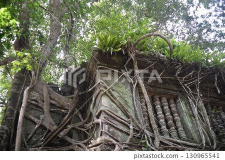 Ruins swallowed by the jungle 130965541