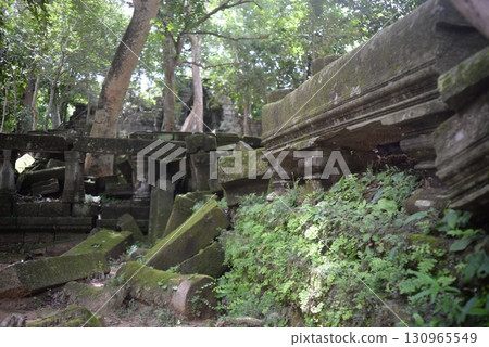 Ruins swallowed by the jungle 3 Ruins swallowed by the jungle 3 130965549