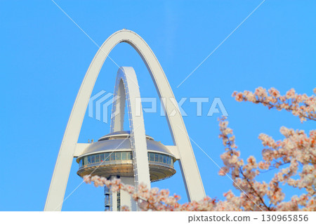 Twin Arch 138 and cherry blossoms in full bloom in Ichinomiya City, Aichi Prefecture 130965856