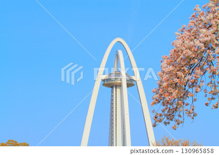 Twin Arch 138 and cherry blossoms in full bloom in Ichinomiya City, Aichi Prefecture 130965858