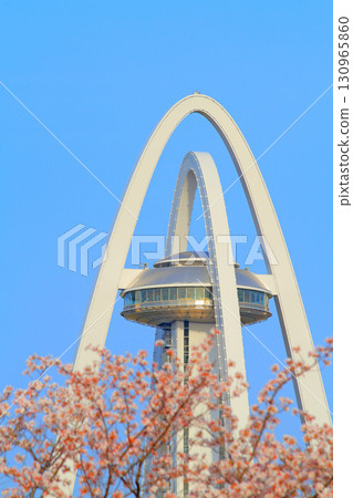 Twin Arch 138 and cherry blossoms in full bloom in Ichinomiya City, Aichi Prefecture 130965860