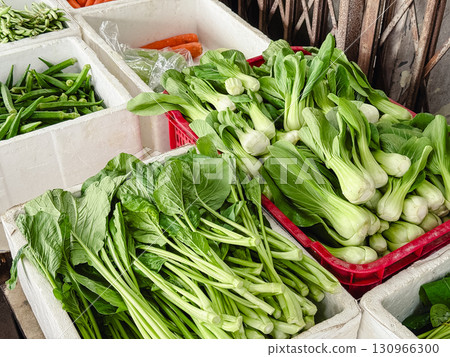 海外蔬菜區 海外蔬菜區 130966300