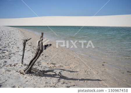 白色沙丘和小湖泊,倫索伊斯 4 白色沙丘和小湖泊,倫索伊斯 4 130967458