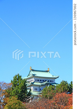 愛知縣名古屋市名古屋城的秋景 130967802