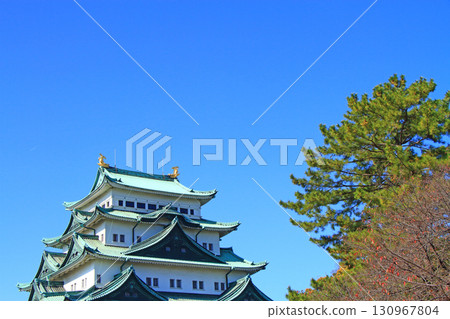 愛知縣名古屋市名古屋城的秋景 130967804