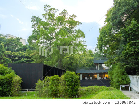 Soyu Terrace surrounded by greenery in Yugawara Manyo Park 130967842