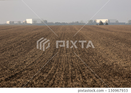 Wide agricultural field stretches into horizon with uniform brown soil after harvest. Autumn farmland lies plowed and prepared for next season under pale sky Wide agricultural field stretches into horizon with uniform brown soil after harvest. Autumn farmland lies plowed and prepared for next season under pale sky 130967933