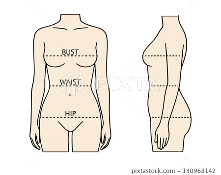 女性身體尺寸測量指南圖解（胸圍、腰圍、臀圍） 130968142