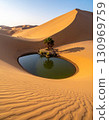 A small, peaceful oasis with a lone palm tree is surrounded by endless sand dunes. 130969759