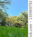 早晨草坪公園 130969792