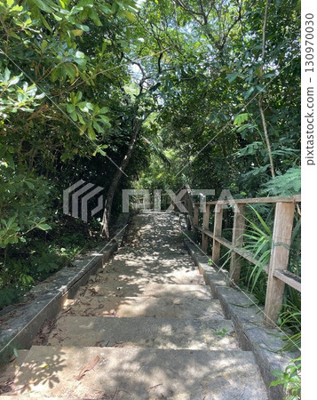 Stairs leading to the jungle Stairs leading to the jungle 130970030