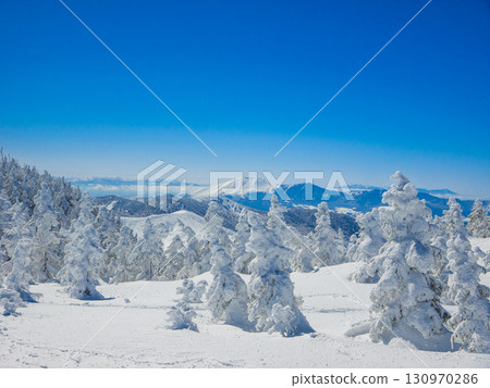 Spectacular view of a snowy mountain with deep snow and frost-covered trees, including a tree hole (Yamanouchi Town, Nagano Prefecture, Yokoteyama) Spectacular view of a snowy mountain with deep snow and frost-covered trees, including a tree hole (Yamanouchi Town, Nagano Prefecture, Yokoteyama) 130970286