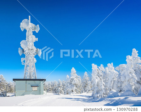 山頂上的滑雪場，周圍環繞著覆霜的樹木和覆霜的無線電塔（群馬縣中之條町澀峠） 130970288