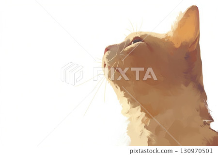 A cat looking up 130970501