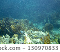 sea fish, coral reef, underwater 130970833