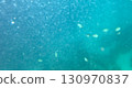 sea fish, coral reef, underwater 130970837