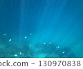 sea fish, coral reef, underwater 130970838