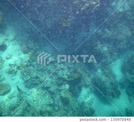 sea fish, coral reef, underwater sea fish, coral reef, underwater 130970840