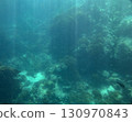 sea fish, coral reef, underwater 130970843