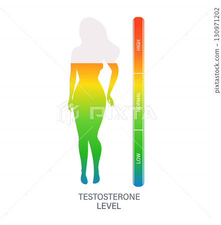Female silhouette representing testosterone level measuring with colored bar from low to high Female silhouette representing testosterone level measuring with colored bar from low to high 130971202