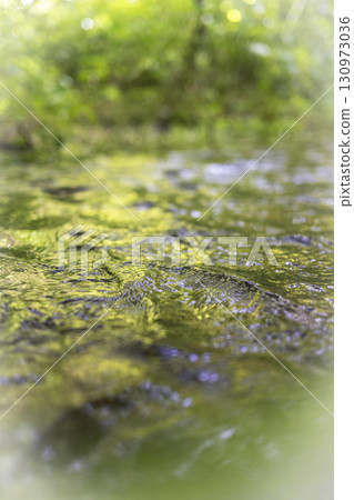 Fresh greenery reflected on the water's surface, an eco-friendly image: Oyamakiyazawa Gorge Fresh greenery reflected on the water's surface, an eco-friendly image: Oyamakiyazawa Gorge 130973036