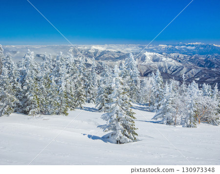 澀峠滑雪場（群馬縣中之條町）沿途的冰霜森林和山脈的冬日景色 130973348