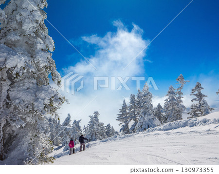 Skiers overlooking the dynamic clouds and frost-covered forest at Shibutoge Ski Resort (Nakanojo Town, Gunma Prefecture) 130973355