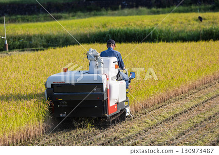 Countryside during harvest season Countryside during harvest season 130973487