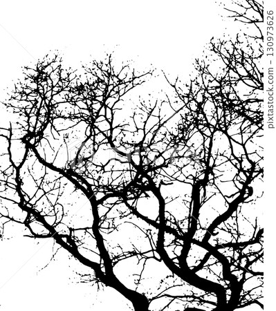 Realistic natural tree bare branches silhouette on a white background. Tracing a tree branch. Not AI, Vector illustration 130973626