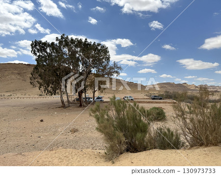 The Colored Sands Oasis in Makhtesh Gadol 130973733