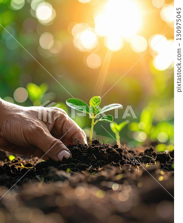 AI Image: Environmental Protection, Tree Planting Image, Close-up of Hands Planting New Sprouts AI Image: Environmental Protection, Tree Planting Image, Close-up of Hands Planting New Sprouts 130975045