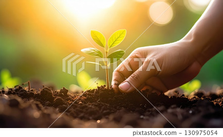 AI Image: Environmental Protection, Tree Planting Image, Close-up of Hands Planting New Sprouts AI Image: Environmental Protection, Tree Planting Image, Close-up of Hands Planting New Sprouts 130975054