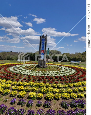 群馬縣高崎市花鷹瞭望台花之丘，四周環繞著四季鮮花 130975251