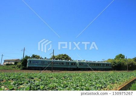 Junko Electric Railway and cabbage field 130975267
