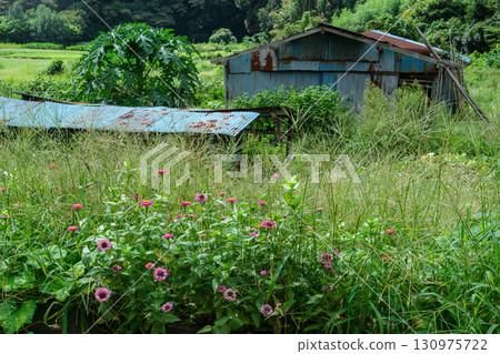 Hut and Petals Hut and Petals 130975722